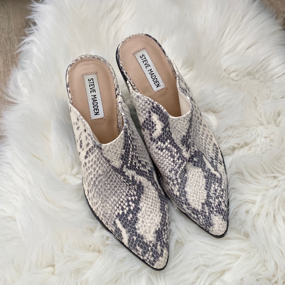Steve Madden Savina Mules Snakeskin Python New - image 3